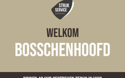 Bosschenhoofd